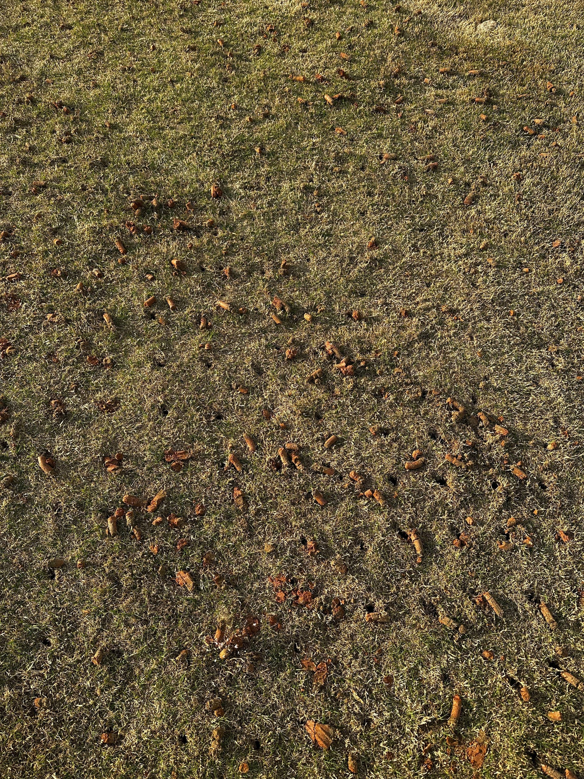 Gallery photos for Lawn Aeration Done Right in Cumming GA: Image #1