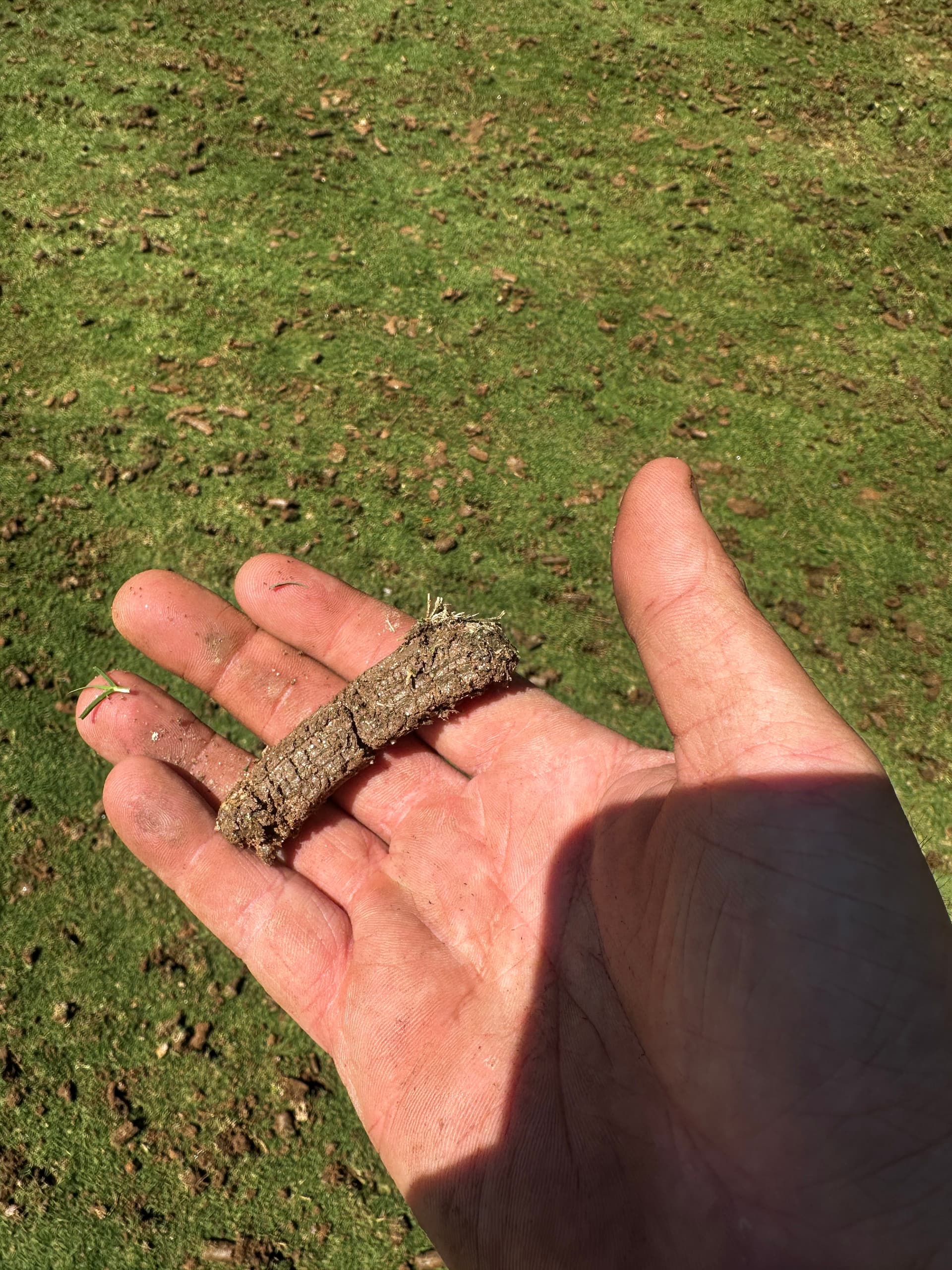 Gallery photos for Deep Core Aeration on a Bermuda Lawn in Dallas GA: Image #2