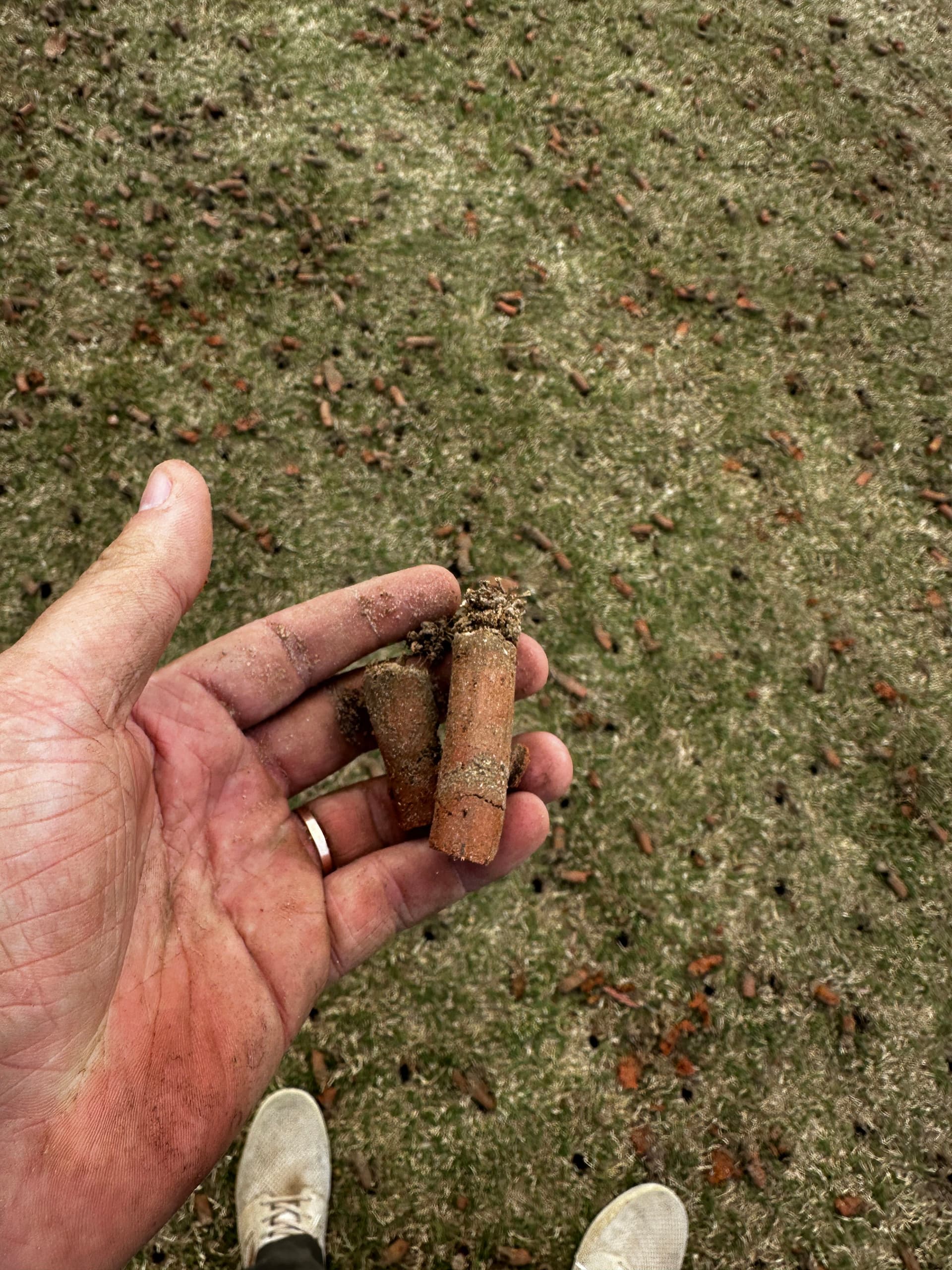 Lawn Aeration Done Right in Cumming GA image