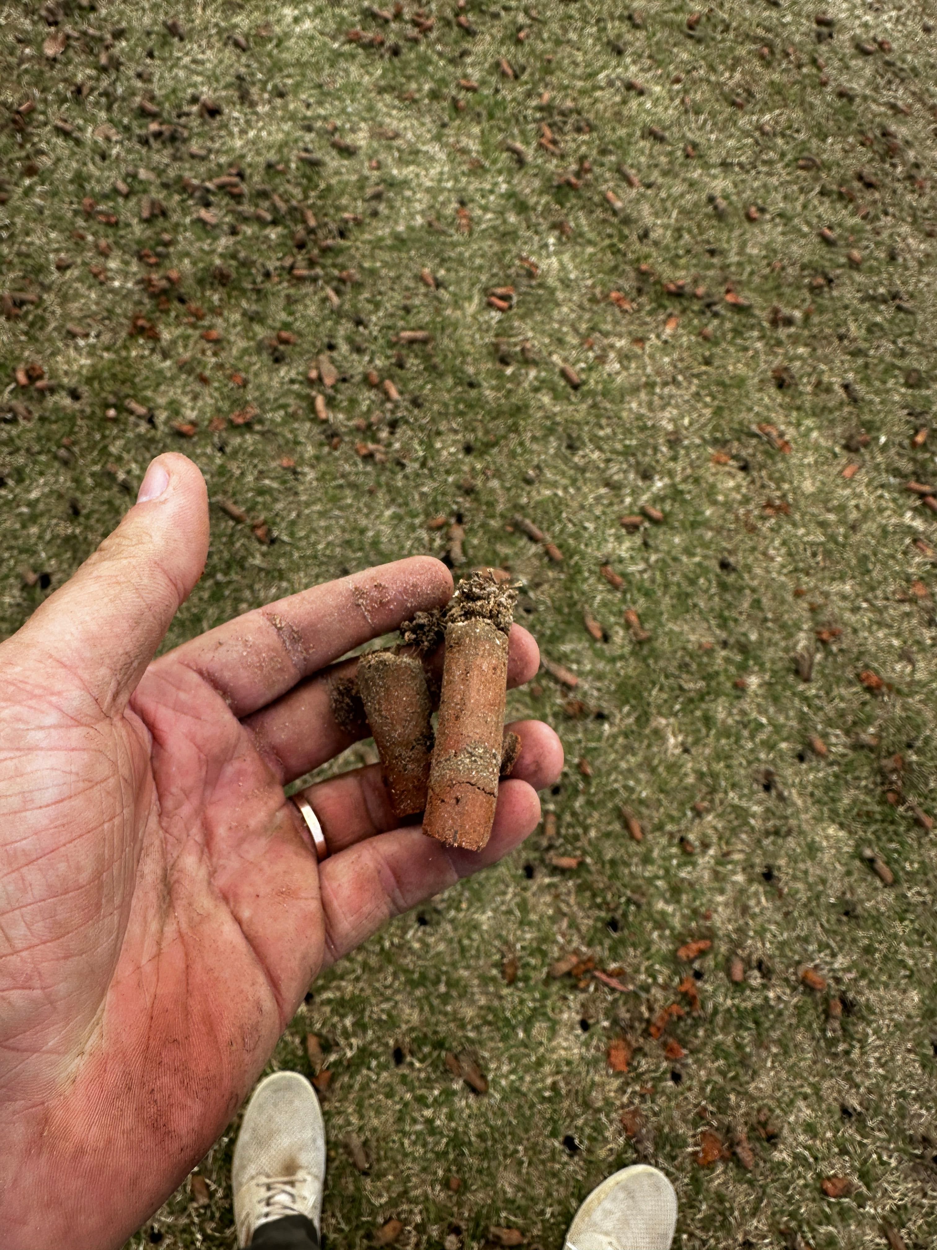 Project Lawn Aeration Done Right in Cumming GA image
