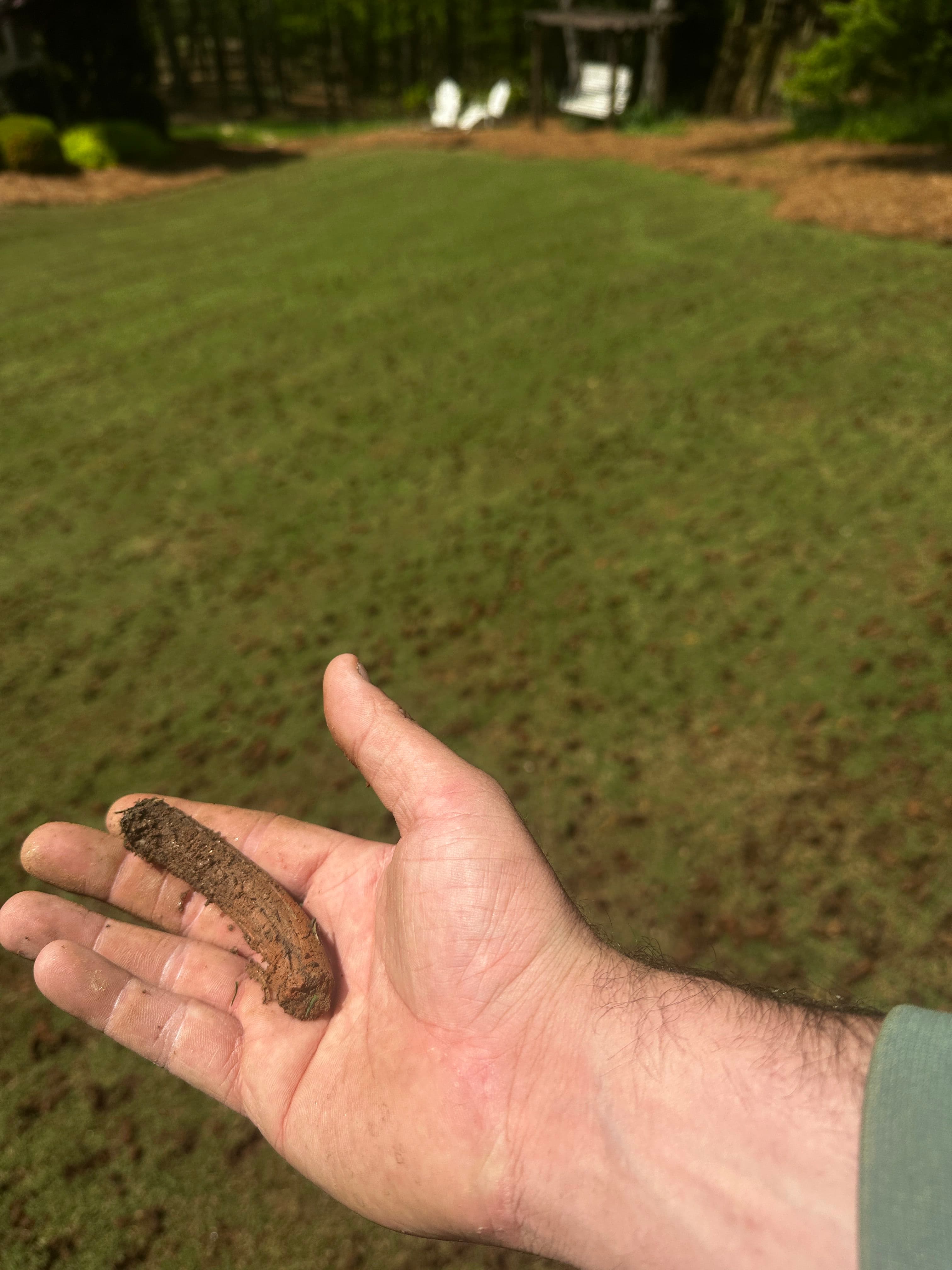 Project Deep Aeration Done Right in Canton GA image