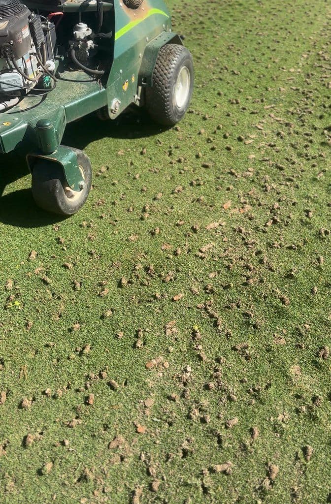 Gallery photos for Lawn Aeration and Core Extraction in Woodstock, GA: Image #1