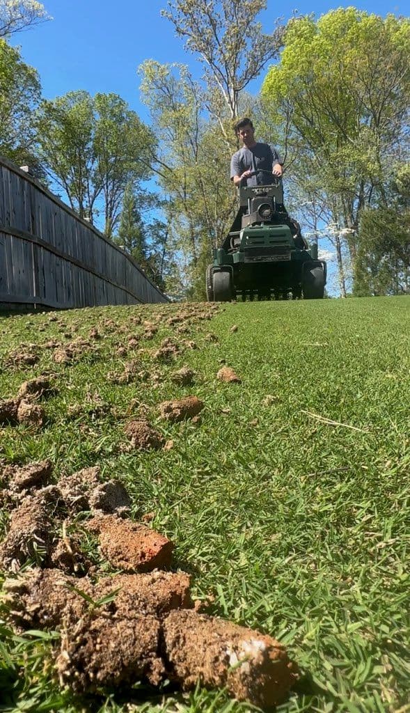 Gallery photos for Lawn Aeration and Core Extraction in Woodstock, GA: Image #2