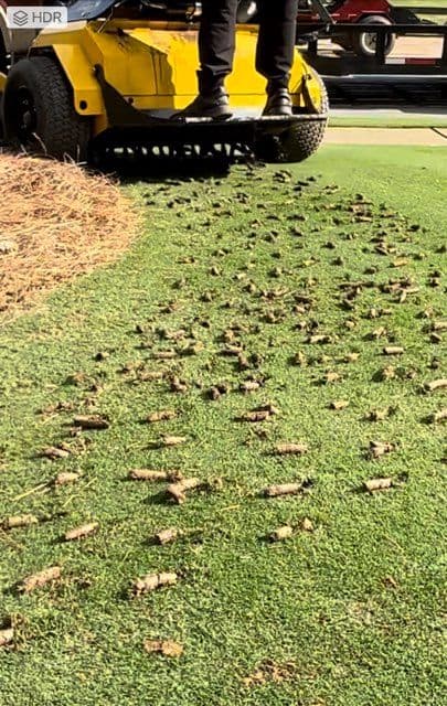 Transform Your Lawn with Aeration in Cumming GA image