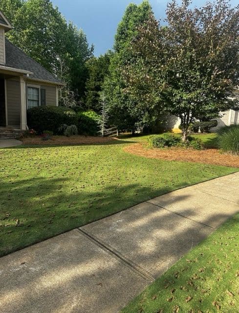 Gallery photos for Transform Your Lawn with Aeration in Cumming GA: Image #2