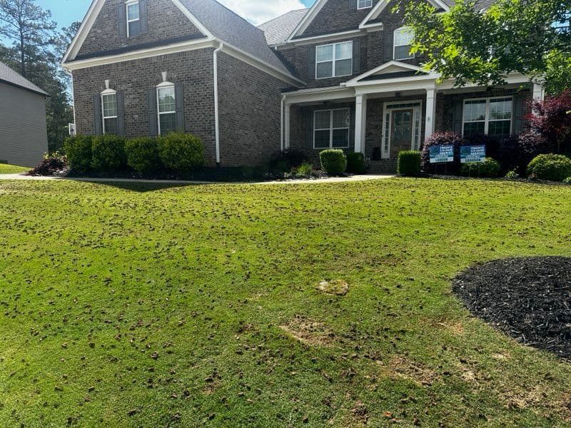 Project Lawn Transformation in Cumming GA with Aeration image