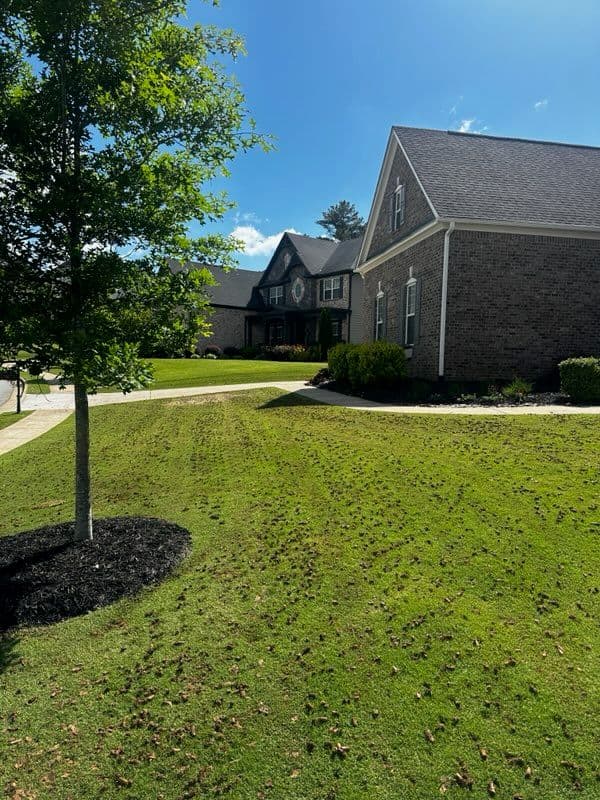 Gallery photos for Lawn Transformation in Cumming GA with Aeration: Image #1