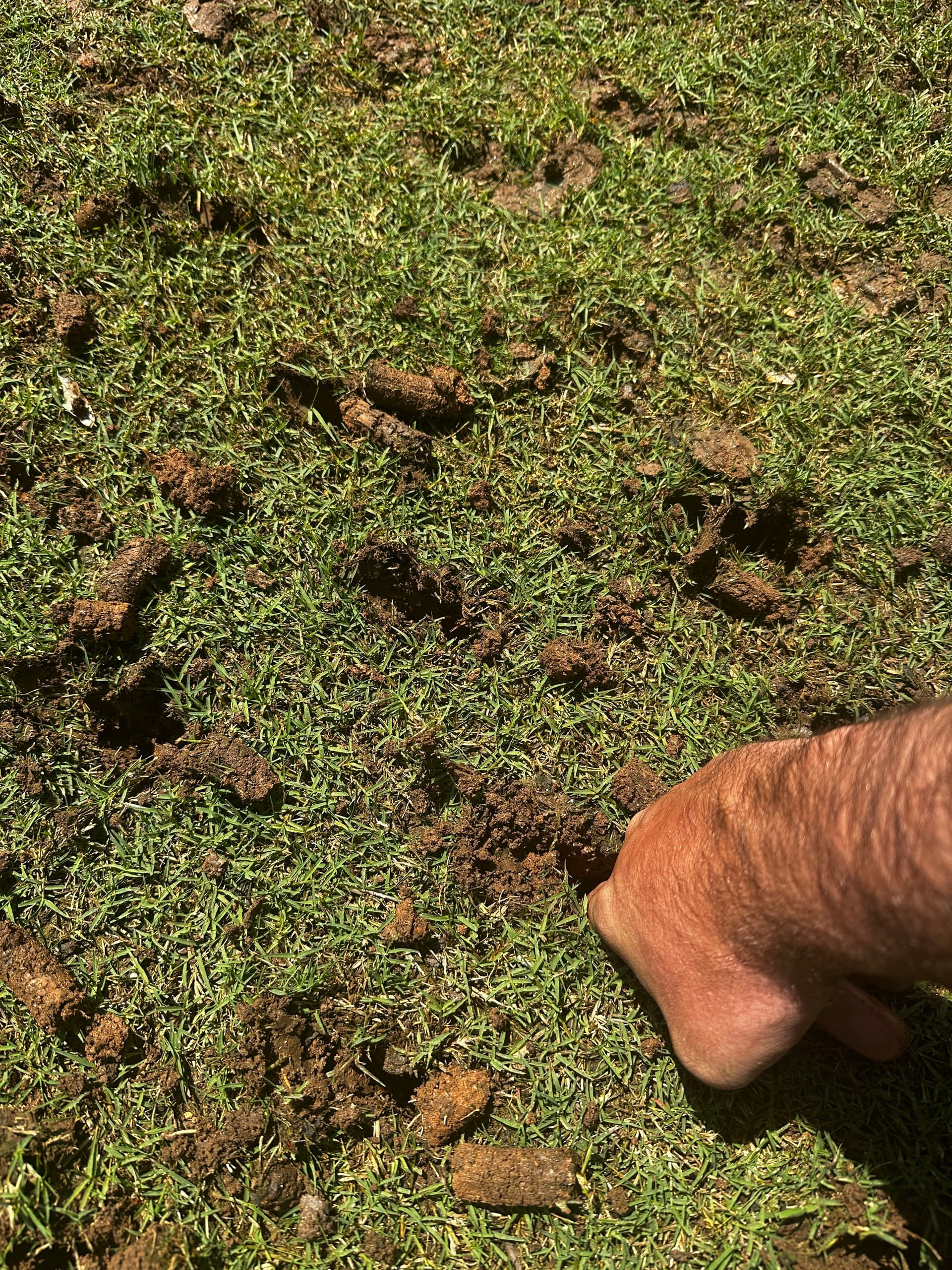 Gallery photos for Deep Aeration Done Right in Canton GA: Image #3