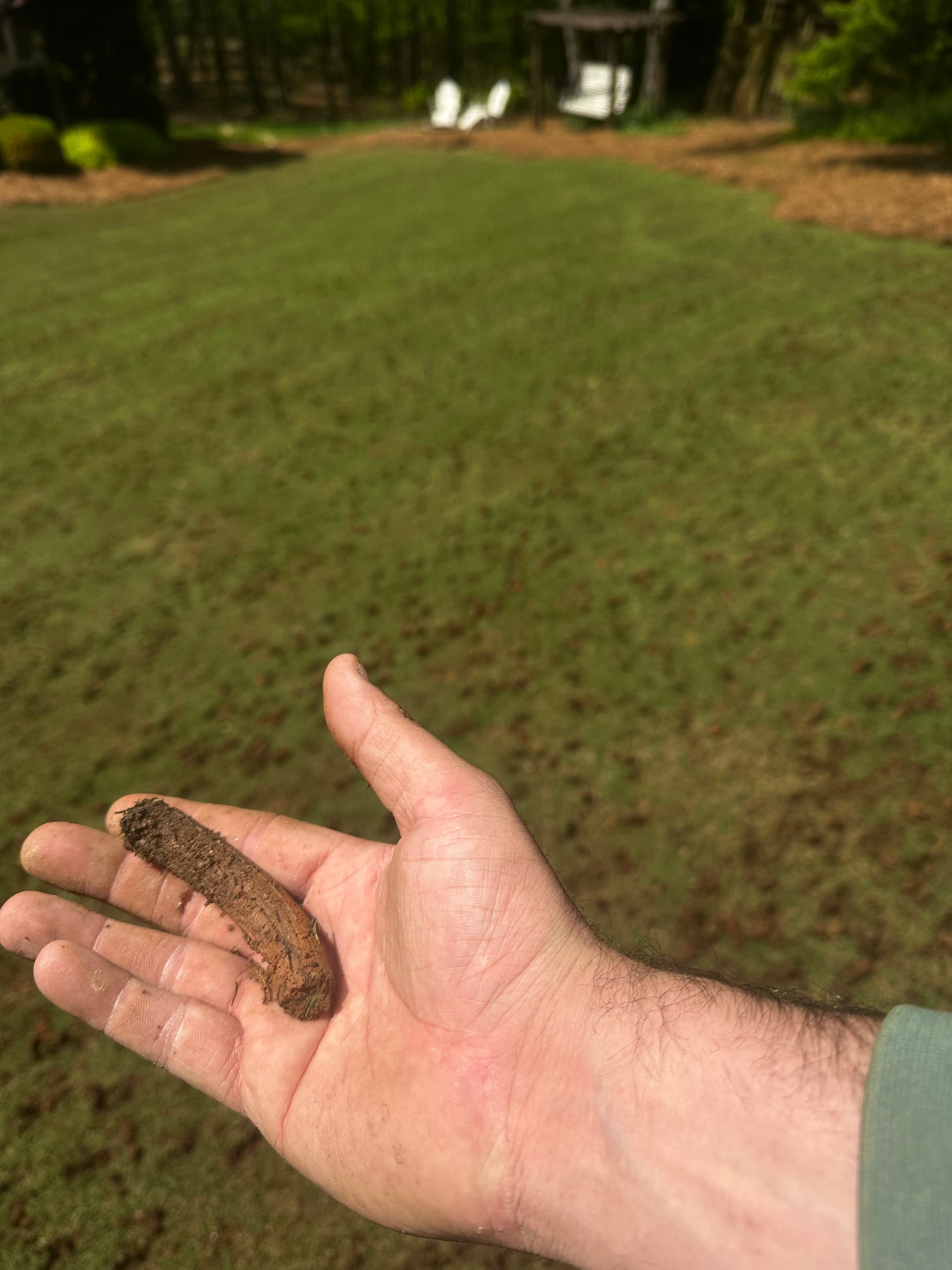 Deep Aeration Done Right in Canton GA image