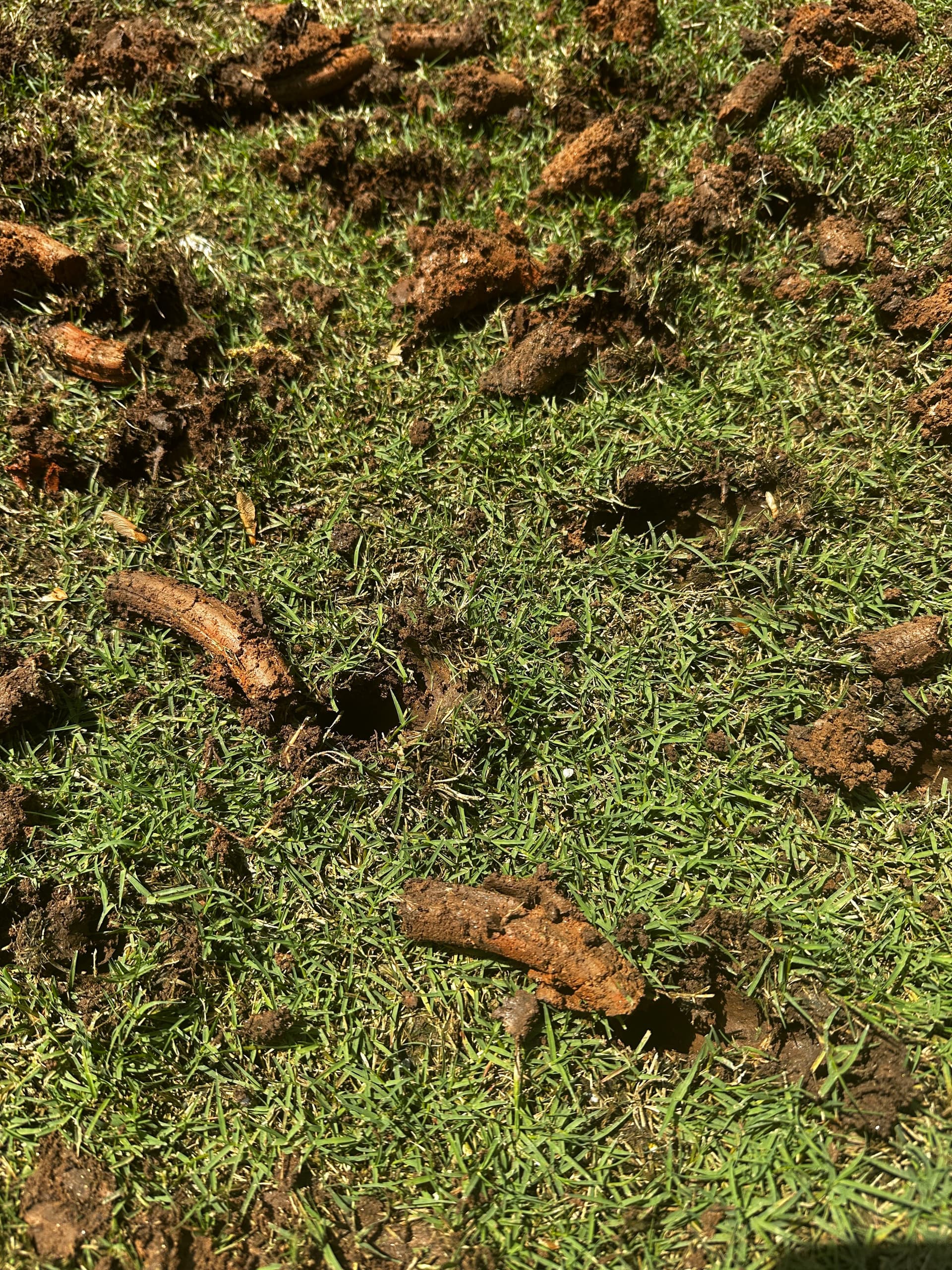 Gallery photos for Deep Aeration Done Right in Canton GA: Image #2